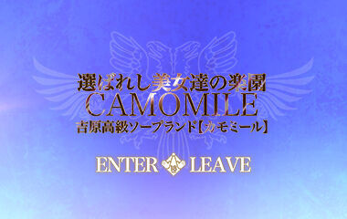 Updated: Kamomiiru (adult entertainment / Yoshiwara soapland) 