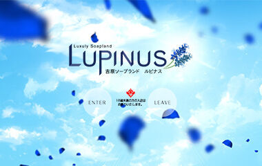 Lupinus (Yoshiwara soapland) — 