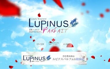 Lupinus Parfait (adult entertainment/Yoshiwara soapland) 