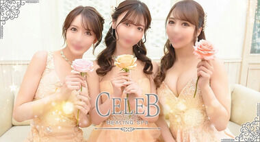 Kawasaki Serebu (adult entertainment / Kawasaki soapland) 