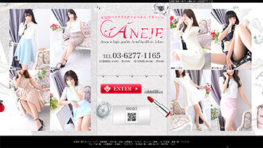Aneju Gotanda (hotel health, Gotanda) 